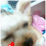 ＃황당한 일＃ 사이비인가요? 도를아십니까? 인가요?
