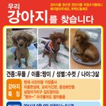 짱이를찾습니다!!!!!!!!!!!!!!!!제발한번씩만봐주세요