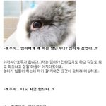 동물과의 대화 내용