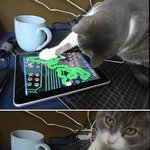 추석 용돈으로 사고 싶은 것들~!!!