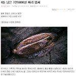 ::: <b>여성부</b>!! 1만 5천살 먹은 이 볍씨!! 없애주세요!! :::