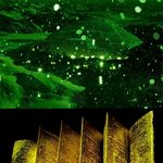 <b>nasa</b> 미스테리 사진전.