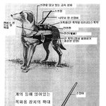 동물을 이용한 인간의 잔인한 전쟁무기..