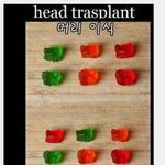 4탄★★★★곰돌이<b>젤리</b>★★★★