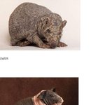 3탄★★★털의중요성★★★