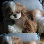 2탄ㅋ)★개여신남신커플인증!!★★