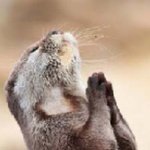 ▶▷▶▷가난한 女고생,  얘기나한번들어주세요◁◀◁◀