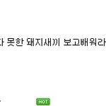 강호동 퇴출 반 대 운동