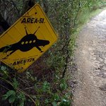 펌)미스테리 비밀의 장소 <b>area</b>51(51구역)