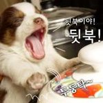 ★★★★★★학교에 꼭 있는애들[공감공감]★★★★★★