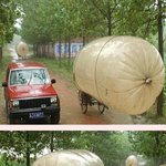 ★★<b>대륙</b> 시리즈3탄★★