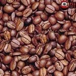 18탄★★신기신기방귀뿡뿡이★★