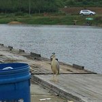 <b>새이름</b> 잘아시는분있나요?