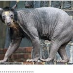 나는 휴대폰중독자일까??