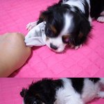 (사진有)내 남친!!