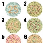 내가 색맹 테스트 해줄께