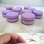 21탄★★★흥미로운사진들★★★