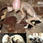 ★★ <b>step</b> 1. 2012년 지구 멸망 10가지 '설' ★★