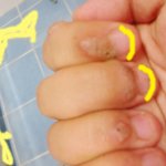 ★★사마귀(곤충x)가이렇게날수있나요?★★