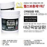 헬스 <b>보충</b>제 먹어보신분 ㅠㅠ[외배엽]