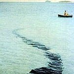 ☞☞세계10대미확인생명체☜☜3탄!!!!