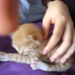 ※※※※긴급속보입니다※※※꼭 읽어봐주세요 사진있음※※