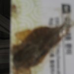 <b>ebs</b> 교재에서 벌레나옴