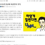 최종병기 활 <b>실사</b>▲△▲△▲△