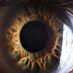 인간의 <b>동공</b> 초근접사