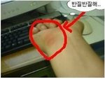 우리나라 컴퓨터하는사람들의 <b>불치병</b>