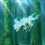 ※※※포켓몬의 모든비밀!!! 스압주의※※※