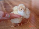 근데 뷰티도 오프븉만 아니면 괜찮아요 이뻐요