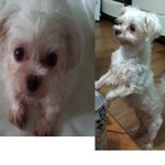★★★★★★<b>김해</b>사시는분들필독해주세요★★★★★★