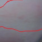 ★★★★★콜라로세수함ㅋㅋㅋㅋ사진有★★★★★