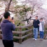 ★사진有) 남자 둘이서한 <b>남산</b>벚꽃구경~~~~~~