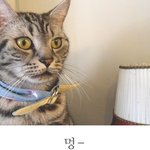 <b>잠깐</b>오늘은 15일...그리고