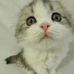 ㅁㅇㄹ님..