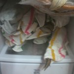 ★★★★★★★티니<b>위니</b> 사장이랑 가족이라서 생긴 일화★★★★★★★