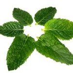 콜드스톤 크리머리 어플 다운받아 나만의 아이스크림 만들고 아이스크림쿠폰받자...