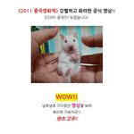 드디어 공개되는 중국영화제 상영작!! 살짝 <b>미리</b>보기!