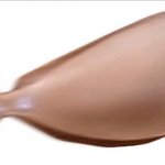 사람 물고기 대체 누굴 더 닮은 건가요?..제발 투표좀 해주세요
