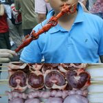 ★★<b>대륙</b> 시리즈17탄★★