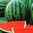 인증<b>쇼쇼쇼</b>  ^^