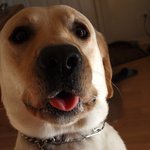 여자필독))썸남이 고백안하는이유 몇가지