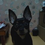 ㅋㅋㅋ<b>님</b>들아 <b>저</b>뭐잘하게생김???