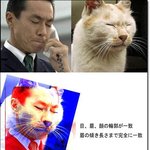 ★★★★甲甲진짜 닮은 사진들 40장~~!!!    끝까지 봐주세요★★★★★★★