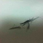 ▶▶▶<b>미션</b>임파서블 자는동생머리 자르기◀◀◀◀