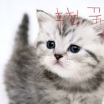 수정+) 학교에 이런애들 꼭있다!!!!! 공감 98.999999999%