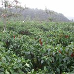 매년추석때하는 가슴<b>뿌듯</b>한 일+감사한마음