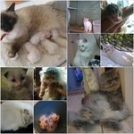 잊지못할 나의 홈스테이맘ㅋㅋㅋㅋ